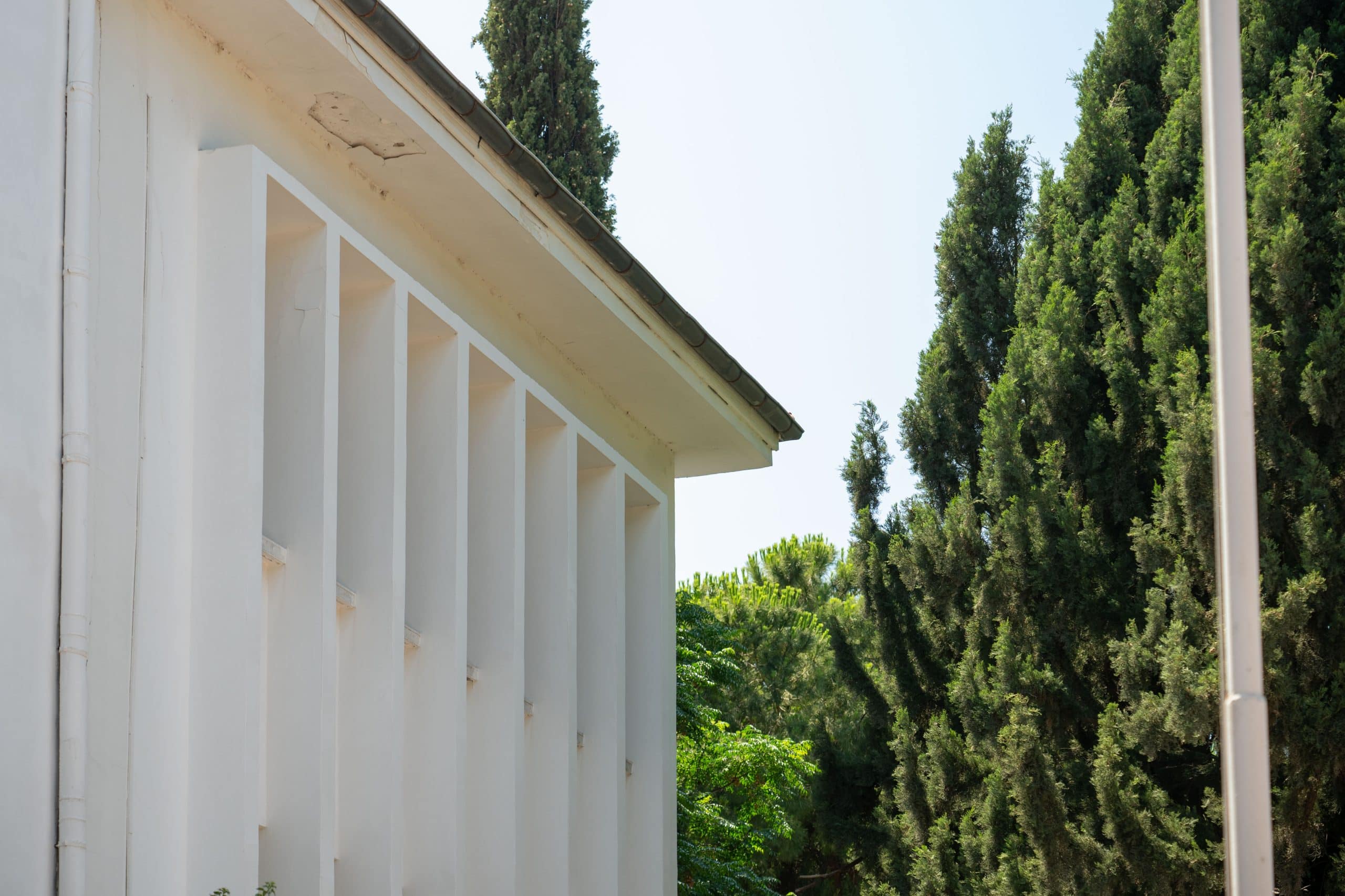 Charlton Whittall Köşkü (Büyük Ev / EÜ Rektörlüğü) - Galeri 7