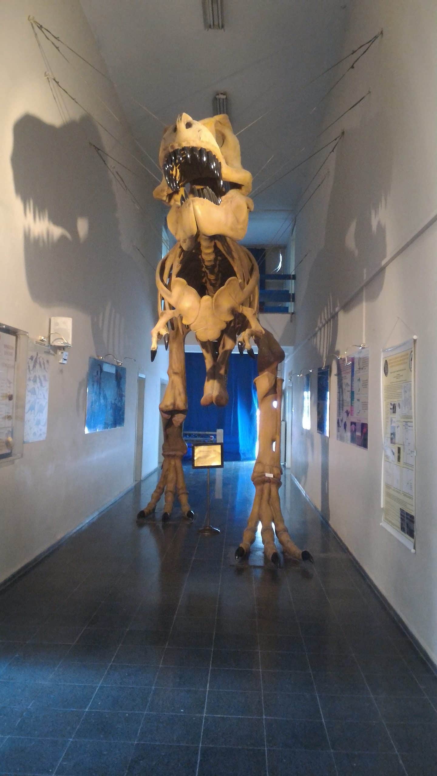 EÜ Tabiat Tarihi Müzesi